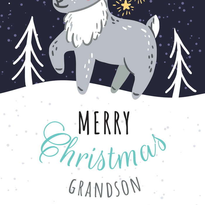 Christmas Card Grandson