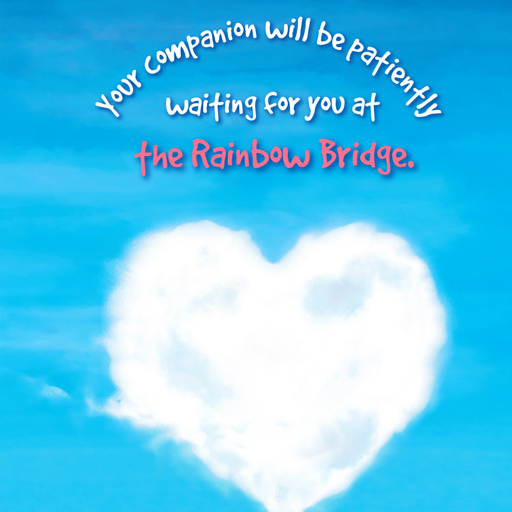 Sympathy Card Loss of Pet